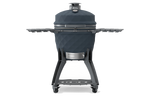 Bull 24