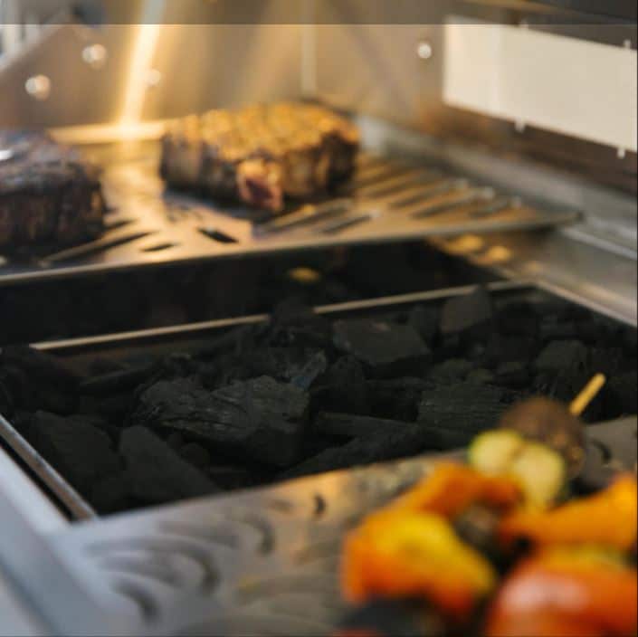 Coyote Charcoal Tray for Gas Grills – in grill